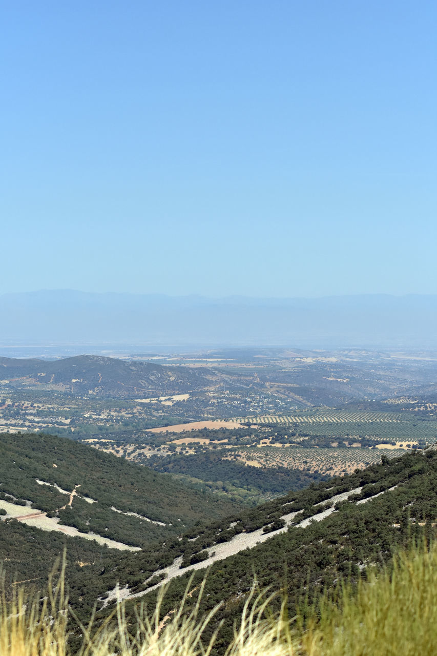 SCENIC VIEW OF LAND AGAINST CLEAR SKY