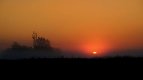 Silhouette trees on field against orange sky