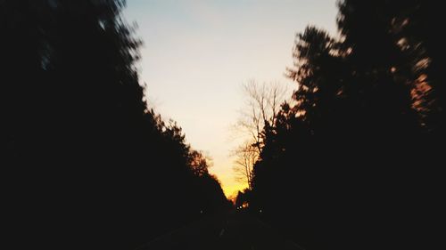 Silhouette of trees at sunset