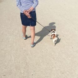 Rear view of woman walking with dog on field