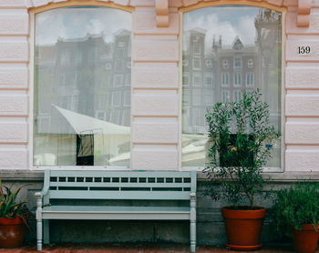 Close-up of potted plants in city