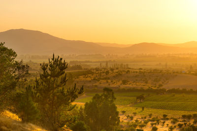 Scenic view of field against sky during sunset