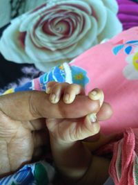 Close-up of hands holding rose