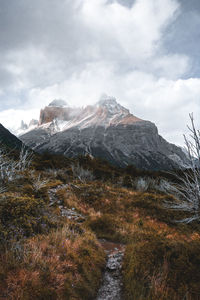 Path between trees with mountains in the background