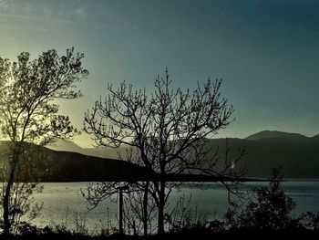 Silhouette bare tree by lake against sky