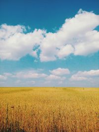 Scenic view of field against cloudy sky