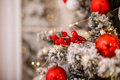 Close-up of christmas tree