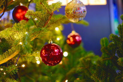 Close-up of christmas decoration hanging on tree