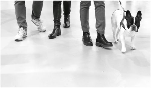 Low section of people with dog on floor