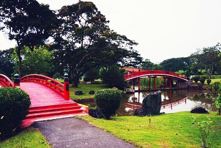 tree, grass, green color, clear sky, growth, park - man made space, built structure, architecture, red, nature, arch, tranquility, tranquil scene, day, lawn, sky, park, beauty in nature, outdoors, plant