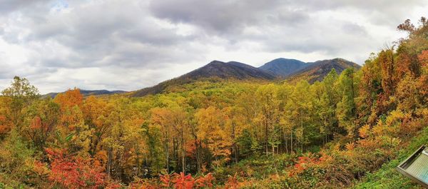 Scenic view of forest against sky during autumn