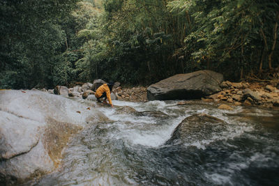View of stream flowing through rocks in forest