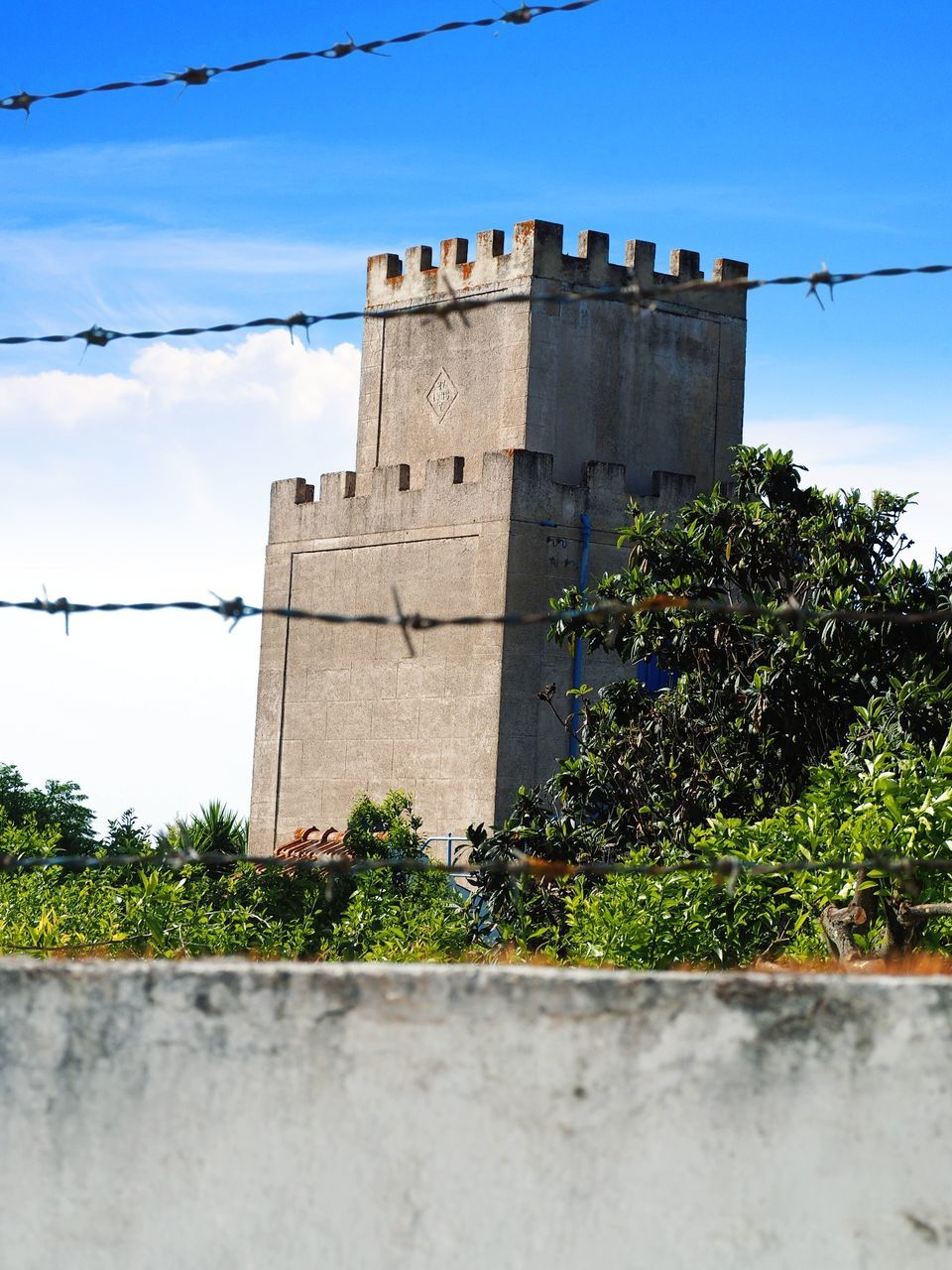 architecture, built structure, plant, sky, building exterior, nature, day, building, low angle view, history, no people, tree, the past, outdoors, growth, cloud - sky, city, green color, wall - building feature, window