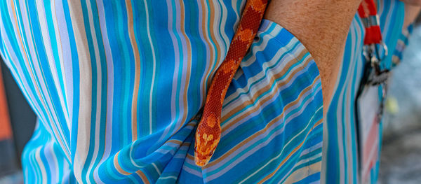 Veterinary professional handling a non-venomous snake known as the corn snake during a class