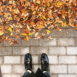 Low section of person standing on autumn leaves