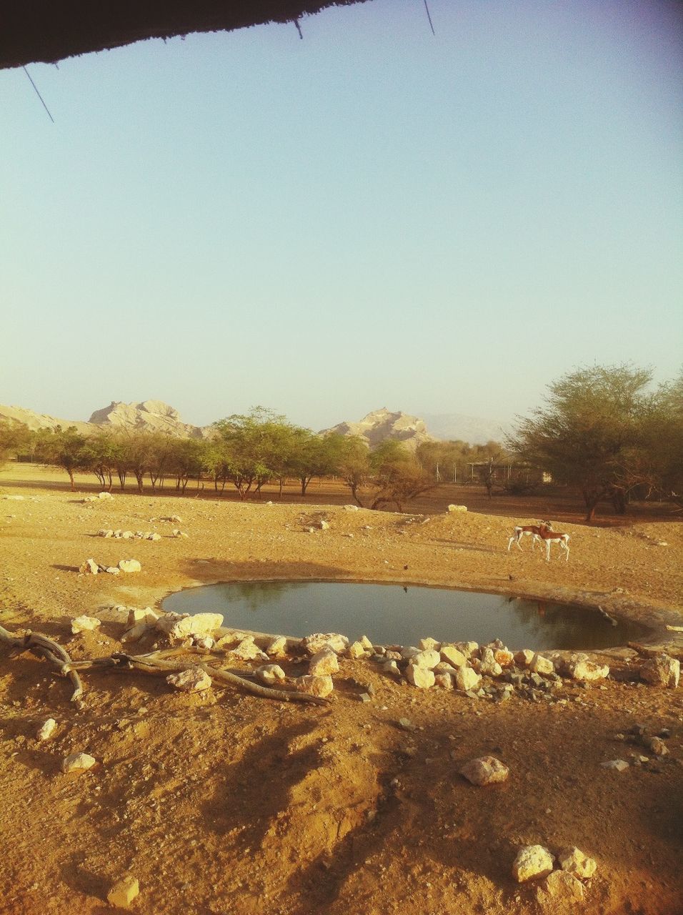 water, tree, clear sky, tranquility, tranquil scene, nature, scenics, river, beauty in nature, lake, reflection, day, landscape, non-urban scene, outdoors, copy space, no people, transportation, rock - object, sky