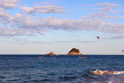 Seagull flying over sea against sky