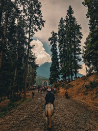 Rear view of man walking on road amidst trees against sky