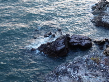 High angle view of rocks in sea