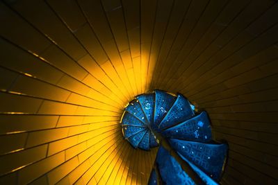High angle view of blue spiral steps