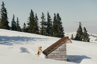 Person skiing on snow covered mountain against sky
