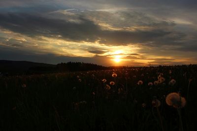 Scenic view of field against sky during sunset