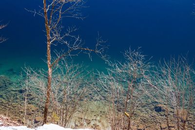 Bare trees on snow covered land against sky