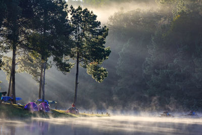 Woman camping by lake