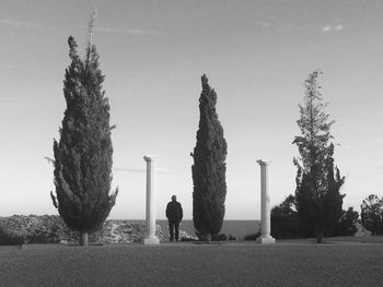 Rear view of man standing by column and tree against sky