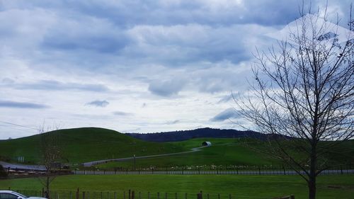 Scenic view of field against sky