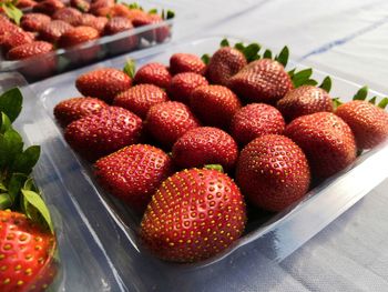 High angle view of strawberries on table