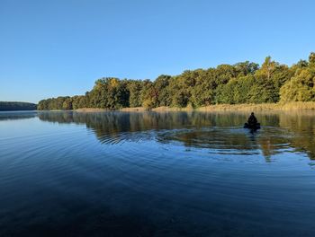 reflection