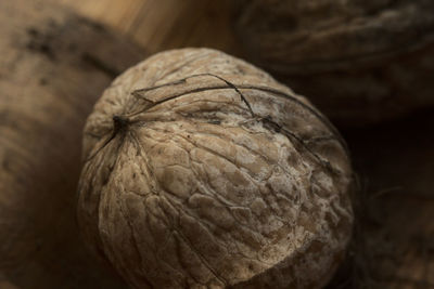 Walnuts in shell, on table illuminated by autumn sun, warm colors