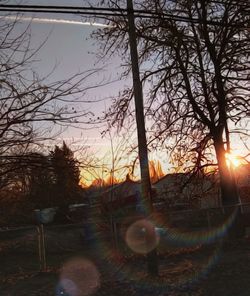 Silhouette bare trees against sky during sunset