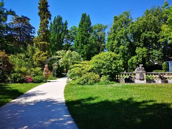 Footpath amidst trees in park against sky