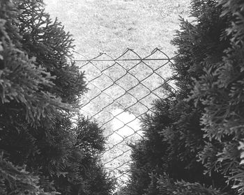 Close-up of chainlink fence against sky