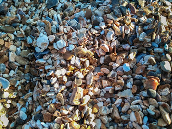 Full frame shot of pebbles on beach