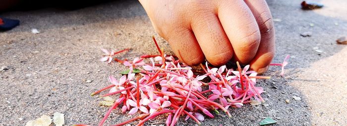 Close-up of person holding hands