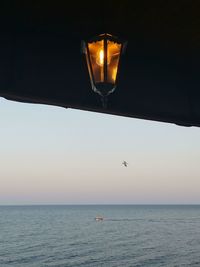 Bird flying over sea against sky