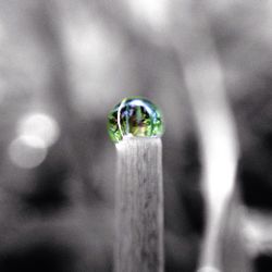 focus on foreground