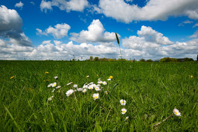 View of field against cloudy sky