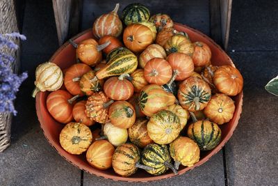 High angle view of pumpkins on table