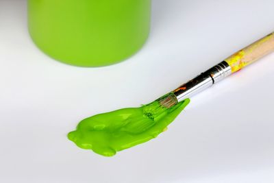High angle view of green  on white background with a paint brush