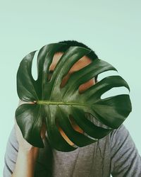 Close-up of flower against white background