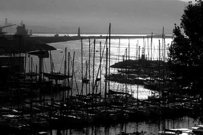 Sailboats moored at harbor against sky in city