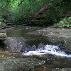 Scenic view of river flowing through rocks