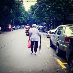 transportation