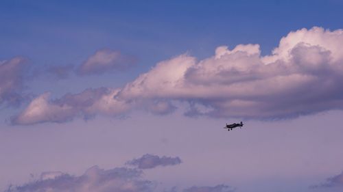 Low angle view of airplane flying in sky