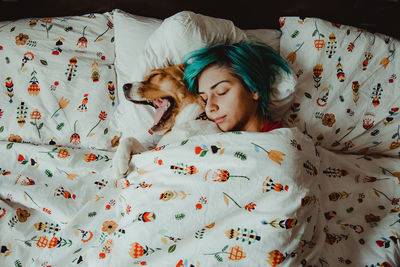 Two dogs sleeping on bed