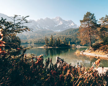 Scenic view of lake by trees against sky